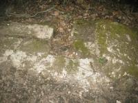Chicago Ghost Hunters Group investigates Bachelors Grove (85).JPG